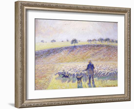 Shepherd with Sheep, 1888-Camille Pissarro-Framed Giclee Print