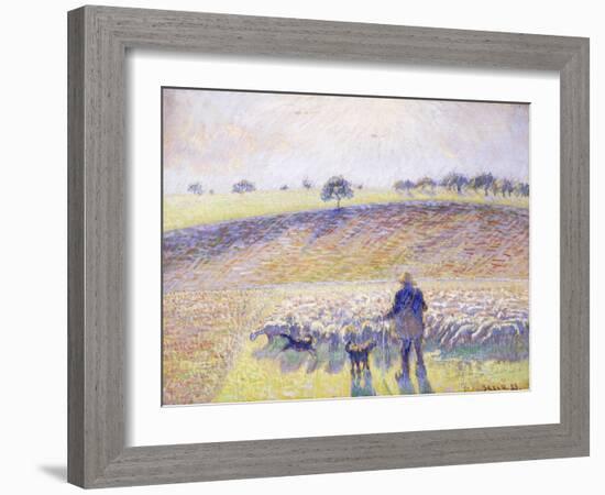 Shepherd with Sheep, 1888-Camille Pissarro-Framed Giclee Print