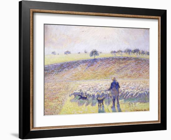 Shepherd with Sheep, 1888-Camille Pissarro-Framed Giclee Print