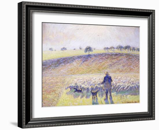 Shepherd with Sheep, 1888-Camille Pissarro-Framed Giclee Print