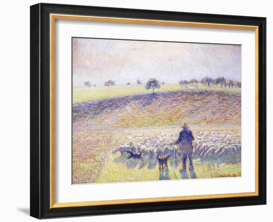 Shepherd with Sheep, 1888-Camille Pissarro-Framed Giclee Print