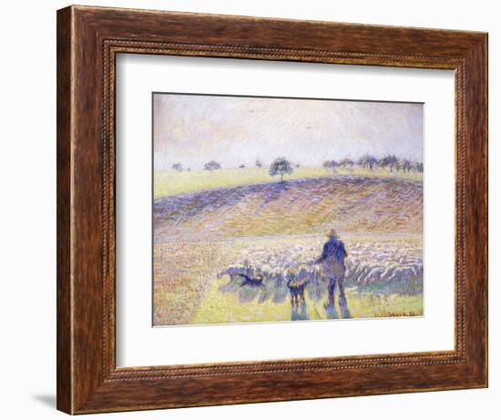 Shepherd with Sheep, 1888-Camille Pissarro-Framed Giclee Print