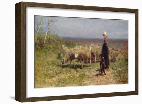 Shepherdess (Oil on Canvas)-Anton Mauve-Framed Giclee Print