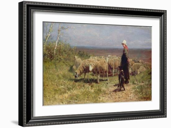 Shepherdess (Oil on Canvas)-Anton Mauve-Framed Giclee Print