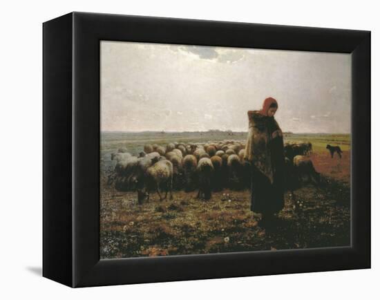 Shepherdess with Her Flock-Jean-François Millet-Framed Stretched Canvas