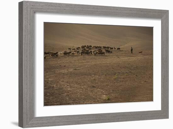 Shepherds and their flocks walk long distances in barren hills, Afghanistan-Alex Treadway-Framed Photographic Print