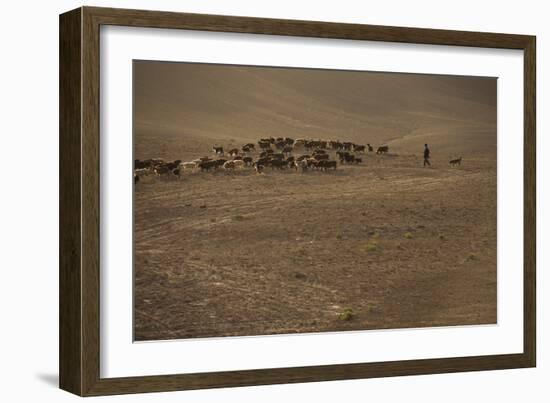 Shepherds and their flocks walk long distances in barren hills, Afghanistan-Alex Treadway-Framed Photographic Print