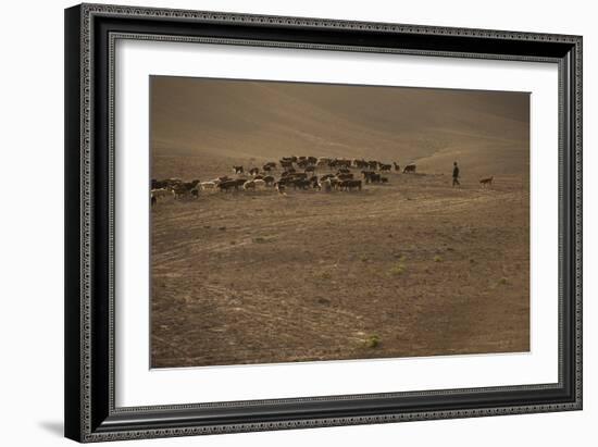 Shepherds and their flocks walk long distances in barren hills, Afghanistan-Alex Treadway-Framed Photographic Print