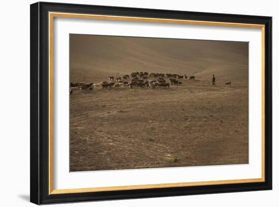 Shepherds and their flocks walk long distances in barren hills, Afghanistan-Alex Treadway-Framed Photographic Print