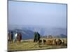Shepherds at Geech Camp, Simien Mountains National Park, Unesco World Heritage Site, Ethiopia-David Poole-Mounted Photographic Print