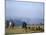 Shepherds at Geech Camp, Simien Mountains National Park, Unesco World Heritage Site, Ethiopia-David Poole-Mounted Photographic Print