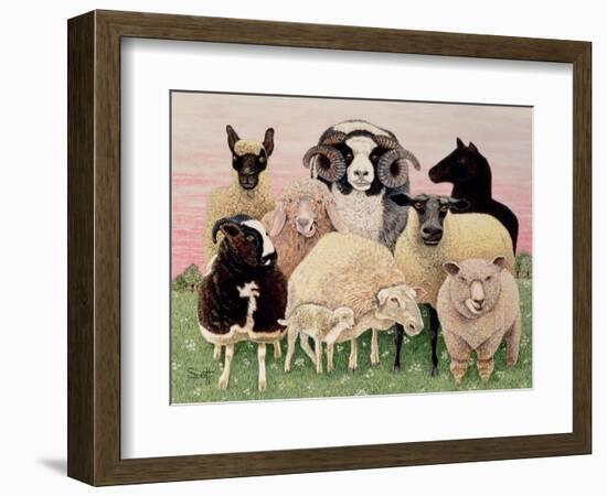 Shepherds Delight-Pat Scott-Framed Giclee Print