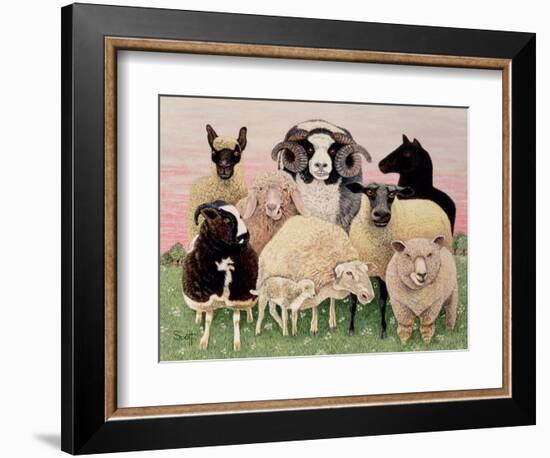 Shepherds Delight-Pat Scott-Framed Giclee Print