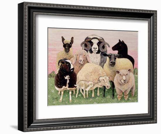 Shepherds Delight-Pat Scott-Framed Giclee Print