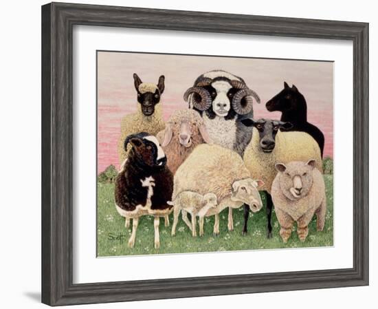 Shepherds Delight-Pat Scott-Framed Giclee Print