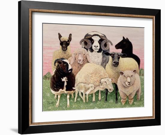 Shepherds Delight-Pat Scott-Framed Giclee Print