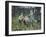 Shepherds-Francesco Paolo Michetti-Framed Giclee Print