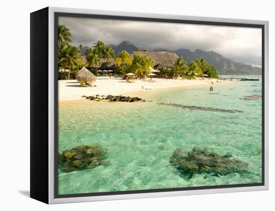 Sheraton Resort in Moorea, French Polynesia-Michele Westmorland-Framed Premier Image Canvas