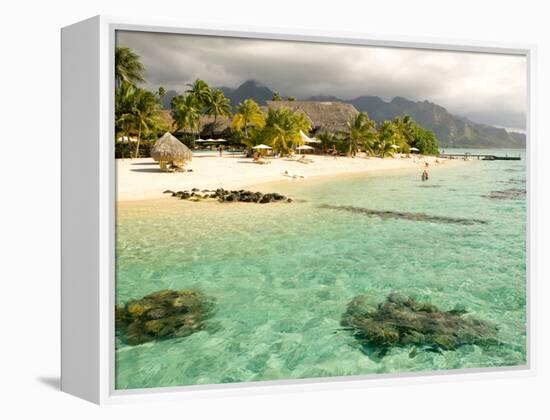 Sheraton Resort in Moorea, French Polynesia-Michele Westmorland-Framed Premier Image Canvas