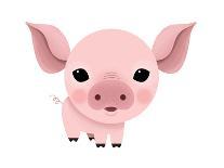Baby Animals - Pig-Sheree Boyd-Giclee Print