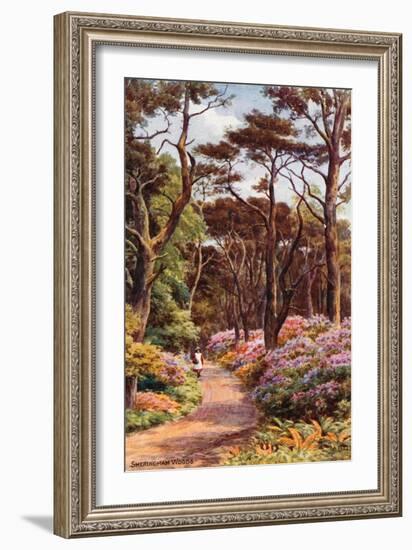 Sheringham Woods-Alfred Robert Quinton-Framed Giclee Print
