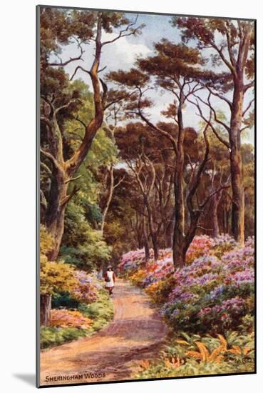 Sheringham Woods-Alfred Robert Quinton-Mounted Giclee Print