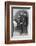 Sherlock Holmes, Clue-Sidney Paget-Framed Photographic Print