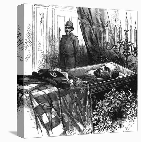 Stretched Canvas Print, , large