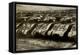 Sherman Tanks-null-Framed Stretched Canvas