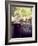 Sherry Bottle and Glasses at Jao Camp, Botswana-Stuart Westmoreland-Framed Photographic Print