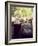 Sherry Bottle and Glasses at Jao Camp, Botswana-Stuart Westmoreland-Framed Photographic Print