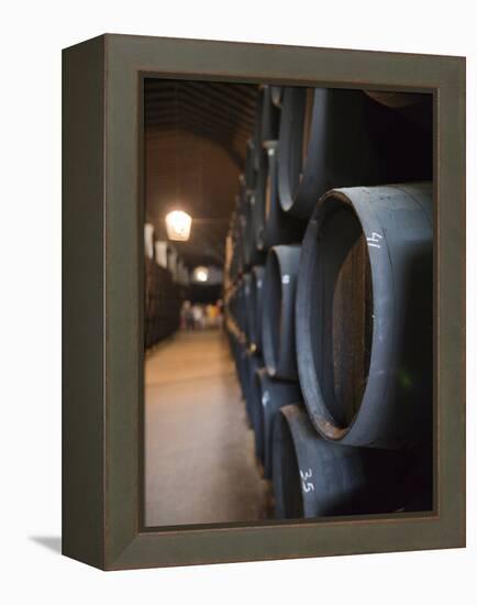 Sherry Casks, Bodegas Gonzalez Byass, Jerez De La Frontera, Spain-Walter Bibikow-Framed Premier Image Canvas