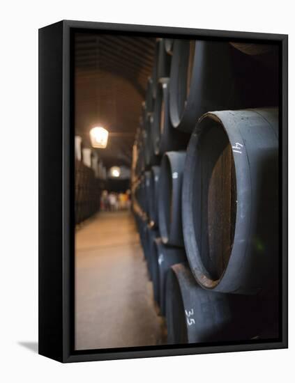 Sherry Casks, Bodegas Gonzalez Byass, Jerez De La Frontera, Spain-Walter Bibikow-Framed Premier Image Canvas