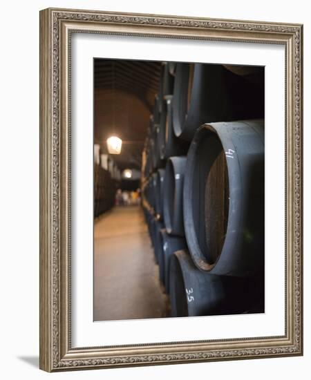 Sherry Casks, Bodegas Gonzalez Byass, Jerez De La Frontera, Spain-Walter Bibikow-Framed Photographic Print