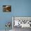 Sherry Casks, Bodegas Gonzalez Byass, Jerez De La Frontera, Spain-Walter Bibikow-Framed Premier Image Canvas displayed on a wall