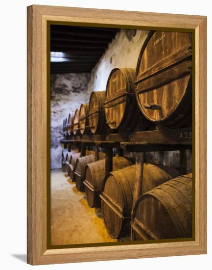 Sherry Casks, Bodegas Gonzalez Byass, Jerez De La Frontera, Spain-Walter Bibikow-Framed Premier Image Canvas