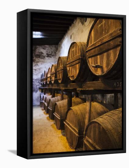 Sherry Casks, Bodegas Gonzalez Byass, Jerez De La Frontera, Spain-Walter Bibikow-Framed Premier Image Canvas