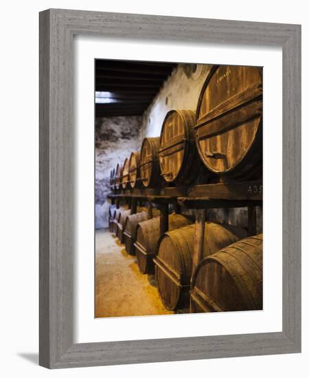 Sherry Casks, Bodegas Gonzalez Byass, Jerez De La Frontera, Spain-Walter Bibikow-Framed Photographic Print