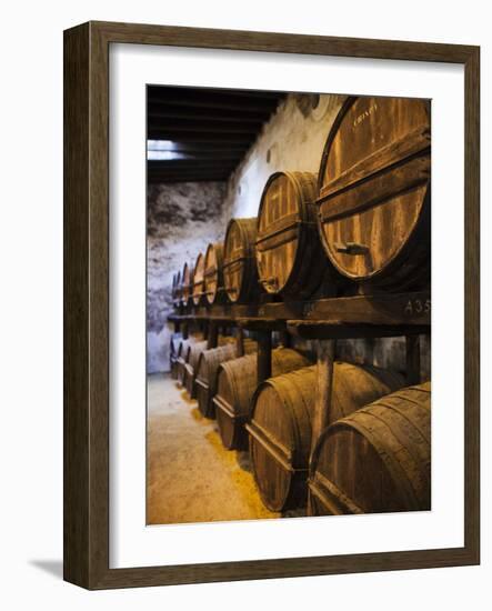 Sherry Casks, Bodegas Gonzalez Byass, Jerez De La Frontera, Spain-Walter Bibikow-Framed Photographic Print