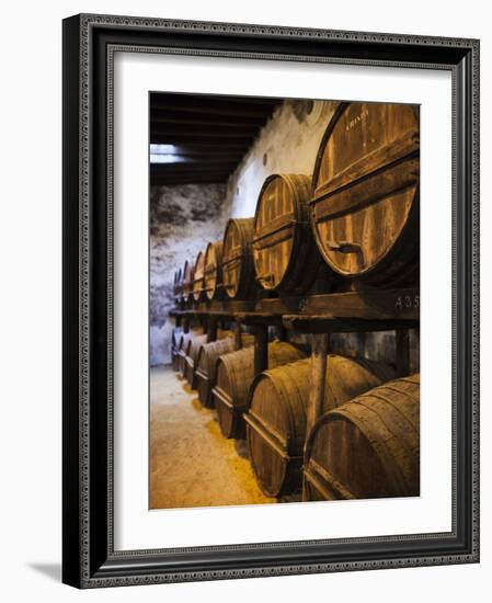 Sherry Casks, Bodegas Gonzalez Byass, Jerez De La Frontera, Spain-Walter Bibikow-Framed Photographic Print