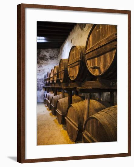 Sherry Casks, Bodegas Gonzalez Byass, Jerez De La Frontera, Spain-Walter Bibikow-Framed Photographic Print