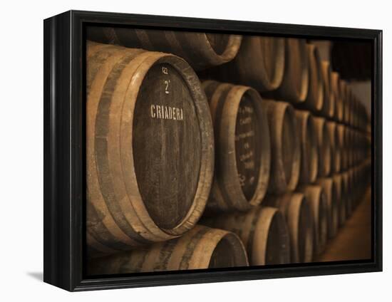 Sherry Casks, Bodegas Gonzalez Byass, Jerez De La Frontera, Spain-Walter Bibikow-Framed Premier Image Canvas