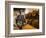 Sherry Casks, Bodegas Gonzalez Byass, Jerez De La Frontera, Spain-Walter Bibikow-Framed Photographic Print