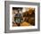 Sherry Casks, Bodegas Gonzalez Byass, Jerez De La Frontera, Spain-Walter Bibikow-Framed Photographic Print