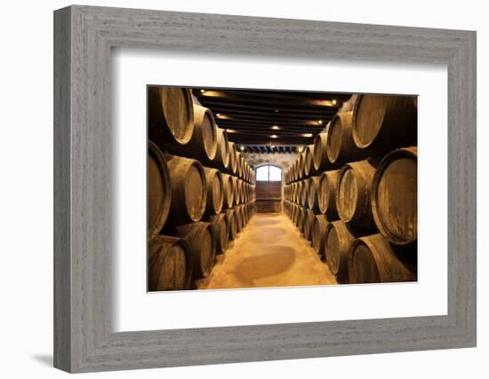 Sherry casks in a winery, Gonzalez Byass, Jerez De La Frontera, Cadiz Province, Andalusia, Spain-null-Framed Photographic Print