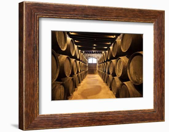 Sherry casks in a winery, Gonzalez Byass, Jerez De La Frontera, Cadiz Province, Andalusia, Spain-null-Framed Photographic Print