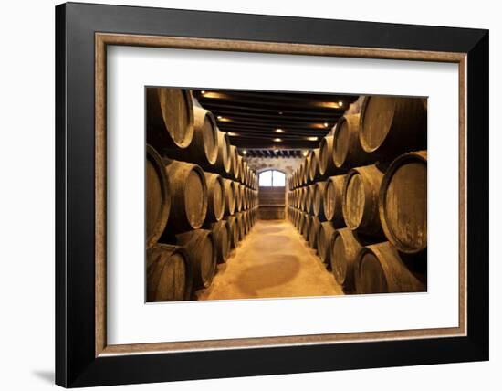 Sherry casks in a winery, Gonzalez Byass, Jerez De La Frontera, Cadiz Province, Andalusia, Spain-null-Framed Photographic Print