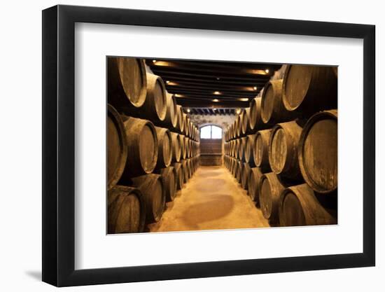 Sherry casks in a winery, Gonzalez Byass, Jerez De La Frontera, Cadiz Province, Andalusia, Spain-null-Framed Photographic Print