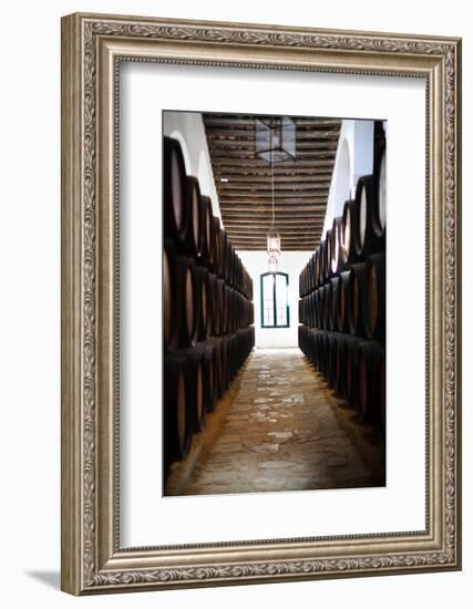 Sherry casks in a winery, Gonzalez Byass, Jerez De La Frontera, Cadiz Province, Andalusia, Spain-null-Framed Photographic Print