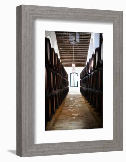 Sherry casks in a winery, Gonzalez Byass, Jerez De La Frontera, Cadiz Province, Andalusia, Spain-null-Framed Photographic Print